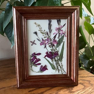 Op de afbeelding: Een ingelijst botanisch kunstwerk met gedroogde paarse en groene bloemen. De bloemen zijn geplaatst tegen een witte achtergrond in een bruine houten lijst. De lijst staat op een houten oppervlak.