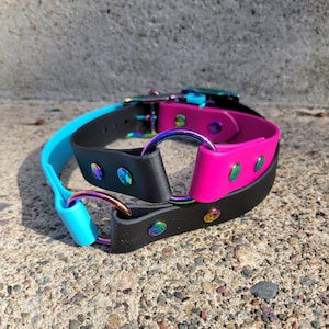 Custom O-Ring Style BioThane® Waterproof Collar