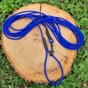 May include: A blue dog leash with a black clip and handle. The leash is coiled on a wooden surface.