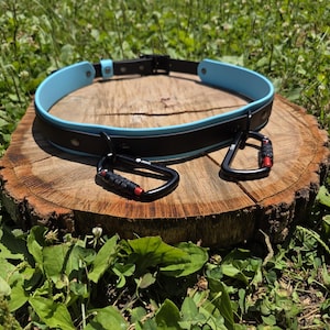 BioThane® Dog Walking Belt - Hands-free Dog Walking - 2-4 Attachments - Auto-Locking Carabiner