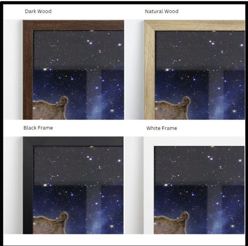 Vincent Van Gogh the Garden of