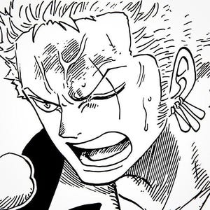 Tapestry template for One Piece Zoro