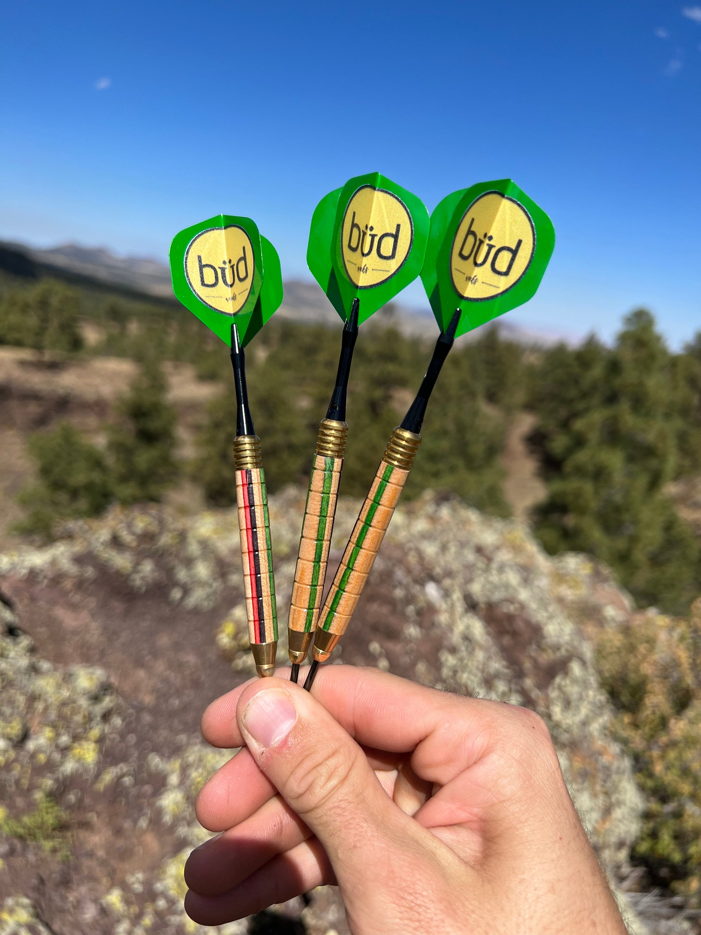 Recycled Skateboard Darts