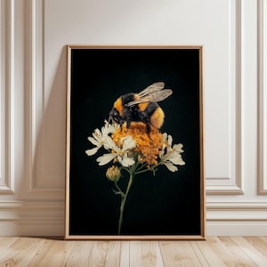 Impressão de Abelha em Flor: Decoração de Parede Vintage Dark Academia (Sem Moldura)