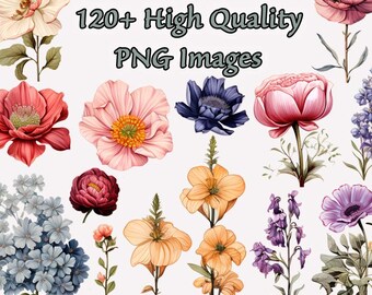 Vintage Floral Clipart, Victorian Watercolor PNG Clip Art, 120+ Colourful Flowers, Commercial Use, Transparent Background, Instant Download