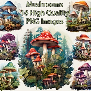 Clipart champignons, nature aquarelle PNG Clip Art, magie, forêt, champignons, champignons vénéneux, journal indésirable, fond Transparent, téléchargement immédiat