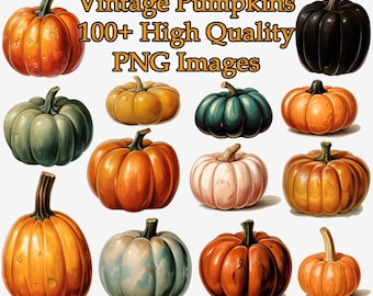 Vintage Colorful Pumpkins Clipart, Fall Watercolor PNG Clip Art, Autumn, Halloween, Commercial Use, Transparent Background, Instant Download