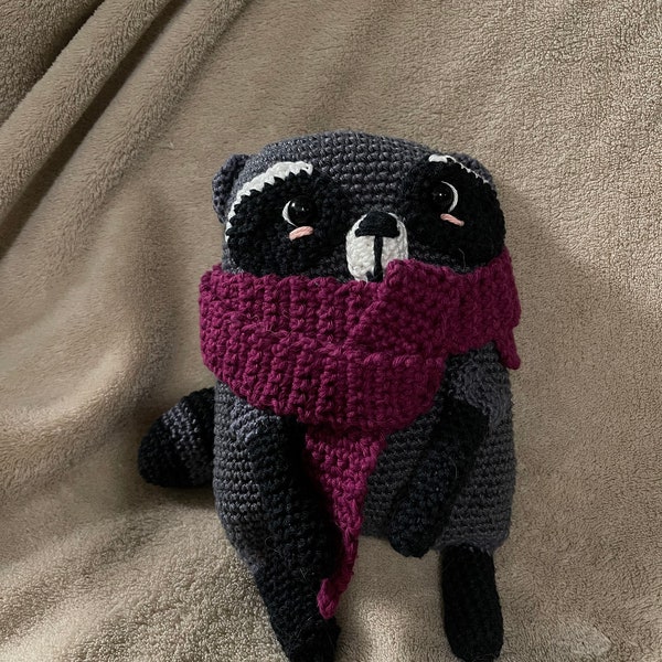 Cozy Racoon