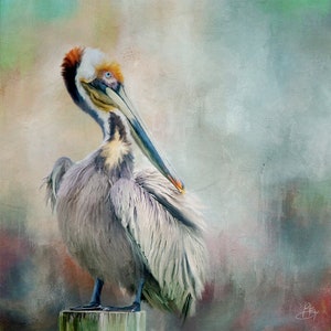 Stampa artistica di uccelli, arte murale di pellicani, ritratto di fauna selvatica ecologico unico, decorazione murale colorata, stampa giclée d'archivio, carta pesante