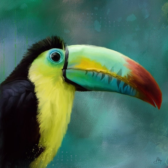 Bird Art Print, Toucan, Wall Art, Unique, Eco friendly, Wildlife Portrait, Colourful Bright Art, Wall Decor, Giclee Print, New Zealand Art