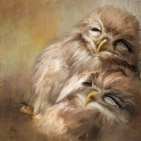 Bird Art Print, Owl Wall Art, Unique, Eco friendly, Wildlife Portrait, Colourful Wall Decor, Archival Giclee Print, New Zealand Fine Art