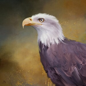 Stampa artistica di uccelli, stampa murale di aquila calva, ritratto di fauna selvatica ecologico unico, decorazione murale colorata, stampa giclée d'archivio, carta pesante