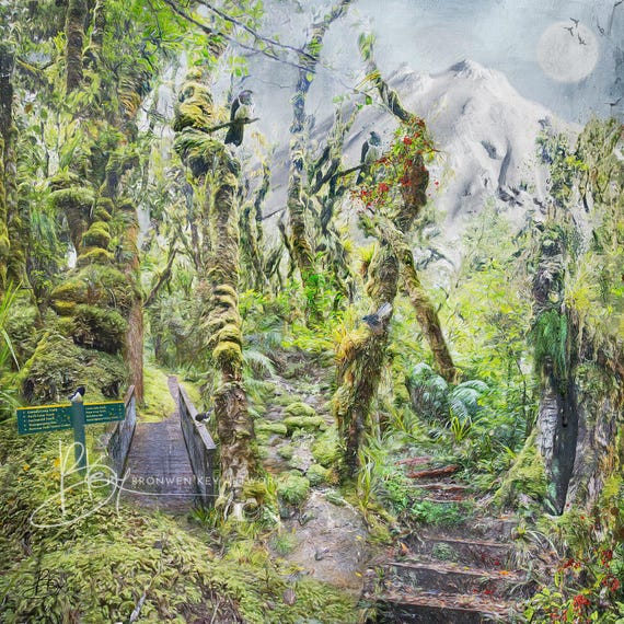 Kamahi Loop Magic, Unique, Fine art Composition, print, Wall art, Archival Giclee Print, Heavyweight Paper, New Zealand, Scenery, Mountains