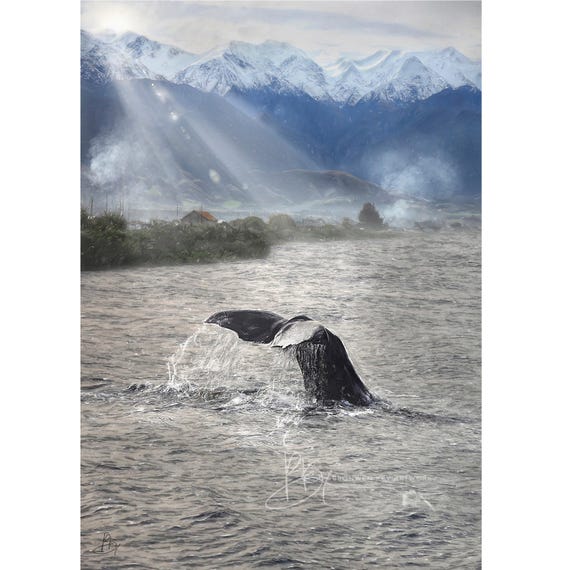 Strength & Freedom, Whale Tail, Kaikoura, New Zealand, Art Print, Unique Composition, Wall art, Archival Giclee Print, Scenery, Ocean, Beach