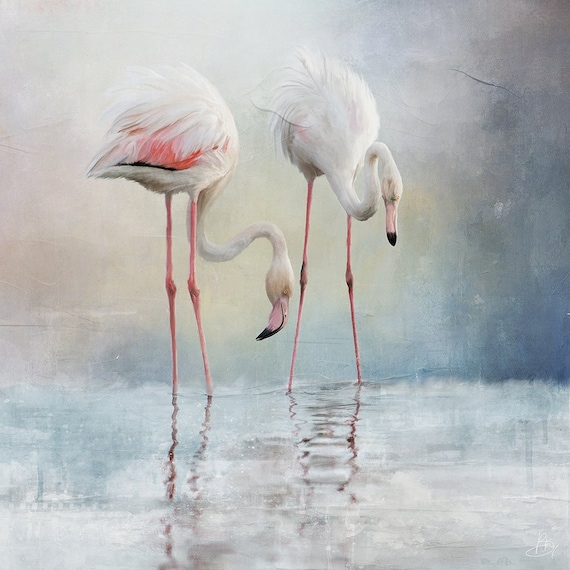 Bird Art Print, Flamingos, Wall Art, Unique, Eco friendly, Wildlife Portrait, Colourful Bright Wall Decor, Archival Giclee, New Zealand Art