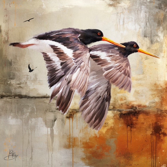 Bird Art Print, Wall Art, NZ Oyster Catchers, Unique Eco friendly Wildlife Portrait, Colourful and Bright Wall Decor, Archival Giclee Print