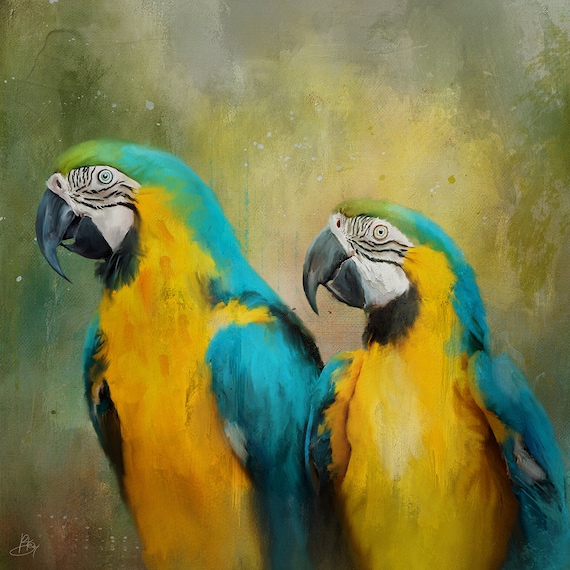 Bird Art Print, Parrots, Wall Art, Unique, Eco friendly, Wildlife Portrait, Colourful Bright Art, Wall Decor, Giclee Print, Tropical Birds