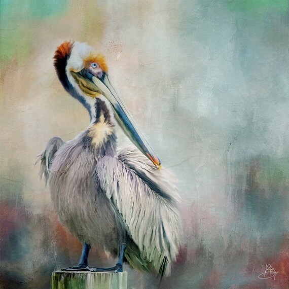 Bird Art Print, Pelican Wall Art, Unique Eco friendly Wildlife Portrait, Colourful Wall Decor, Archival Giclee Print, Heavyweight Paper