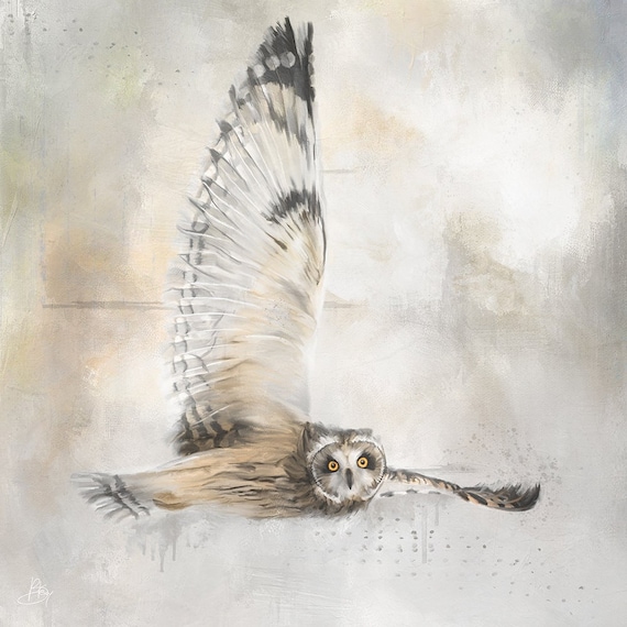 Bird Art Print, Owl Art, Wall Art, Unique, Eco friendly, Wildlife Portrait, Colourful Art, Wall Decor, Giclee Print, Great Gray Owl Flying