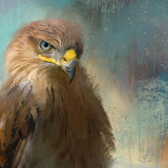 Bird Art Print, Hawk, Falcon, Wall Art, Unique, Eco-friendly, Wildlife Portrait, Colourful Wall Decor, Archival Print, Heavyweight Paper