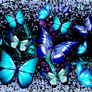 Mariposa