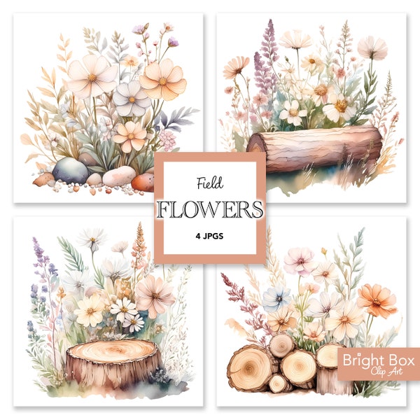 Wild Flowers Field Daisies Floral Flower Clip Art Boho Download Sublimation Junk Journaling Clipart Instant Downloadable Artwork Files JPG