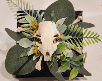 Rodent skull with foliage. 4x4x1.5"