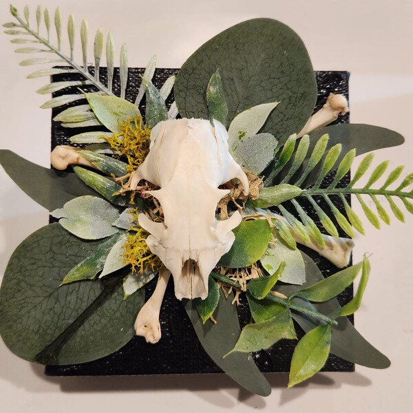 Rodent skull with foliage. 4x4x1.5"