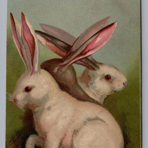 Antica cartolina di Pasqua del 1907 con tre coniglietti da favola - Roseland, Louisiana