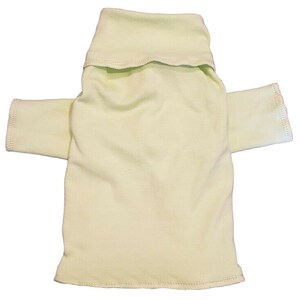 May include: A light green dog shirt with a mock neck and short sleeves.