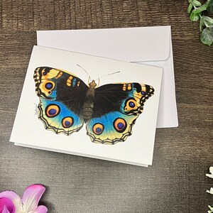 Jeder Anlass Grußkarte, Schmetterling Design, innen blanko