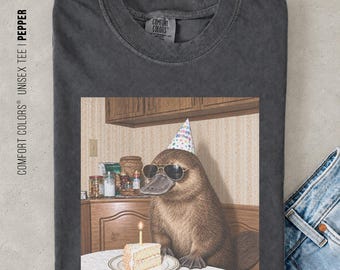 Vintage Platypus Birthday Shirt, Retro Animal Graphic Tee, Platypus Lover Gift, Silly Animal Birthday Party Shirt, Wildlife Gift