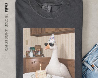 Funny Goose Birthday Shirt, Silly Goose Graphic Tee, Vintage Animal Birthday Party T-Shirt, Goose Lover Gift, Retro Duck Shirt