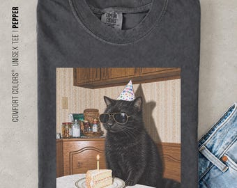 Funny Black Cat Birthday Shirt, Retro Cat Graphic Tee, Black Cat Lover Gift, Cute Animal Lover Apparel, Vintage Cat Comfort Colors® Shirt