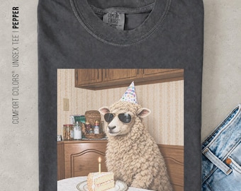 Vintage Birthday Sheep Shirt, Retro Animal Graphic Tee, Funny Whimsical Sheep Lover Gift, Boxy Crop Tee, Comfort Colors® Shirt