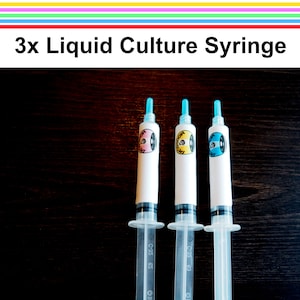 3x Gourmet Mushroom Live Liquid Culture Syringe - 12ml