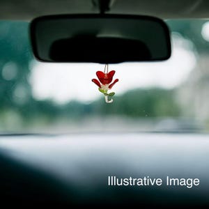 May include: A red flower-shaped car air freshener hanging from the rearview mirror of a car.