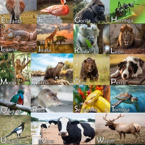 Spanish ABC's Animal Poster/ Classroom Poster / Wall Decor 17x25inches