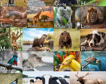 Spanish ABC's Animal Poster/ Classroom Poster / Wall Decor 17x25inches