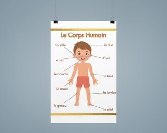 French Body Parts Poster / Kids Learning / Affiches en Francais / Classroom Resource