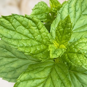 May include: A cluster of fresh mint leaves featuring a vibrant green color, a textured surface with prominent veins, and serrated edges. The leaves are arranged in a layered pattern, showing various shades of green from light to deep tones.