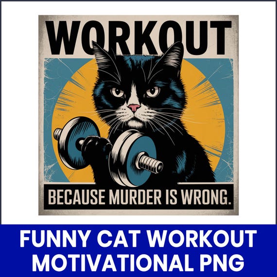 Cat Workout Memes Cat In The Gym, Funny Athletic Cat In Colorful Gym