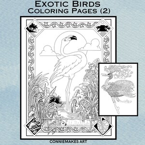 Flamenco y pájaro de fantasía con corona.