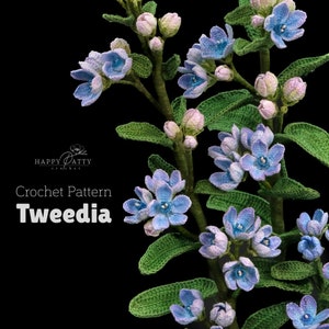 May include: Crochet pattern for a blue and green Tweedia flower. The pattern is called "Happy Patty Crochet".