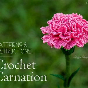 Crochet Carnation Pattern - Croche Flower Pattern - Carnation Flower Pattern - Mother&#39;s Day Crochet Flower - January Birth Month Flower