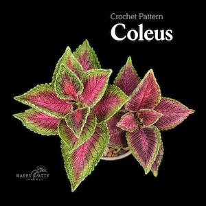Crochet Coleus Plant Pattern - DIY Botanical Home Decor - Colorful Leaves Crochet PDF - Instant Download
