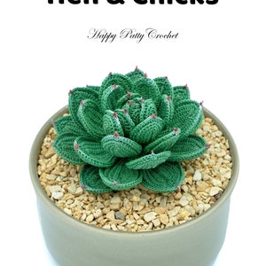 Crochet Hens & Chicks Succulent Pattern - Crochet Succulent Pattern