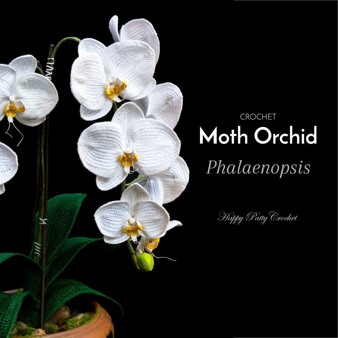21 Orchid Crochet Patterns to Stitch Elegant Blooms for Home Decor and Gifts 14 Crochet Phalaenopsis Orchid