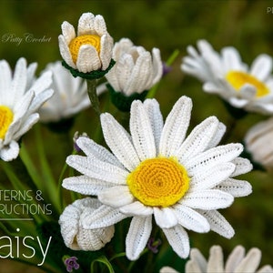 Op de afbeelding: Haakpatroon voor een madeliefje. De afbeelding toont een close-up van verschillende witte gehaakte madeliefjes met gele centra. De tekst "PATTERNS & INSTRUCTIONS Daisy" staat onderaan de afbeelding.