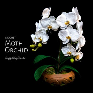 Crochet Orchid Pattern - Crochet Flower Pattern - Crochet Pattern for Home Decor & Flower Applique - Phal Orchid Flower Pattern